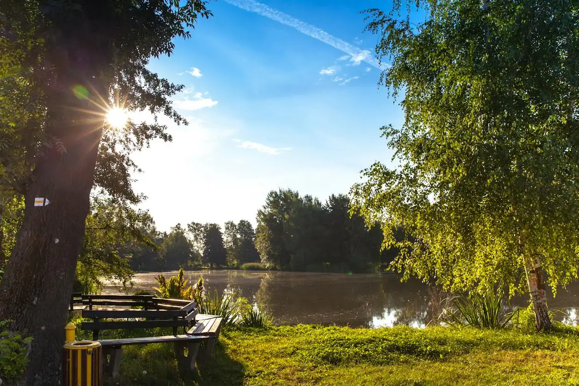 Sun Tracking for Gardeners and Landscapers